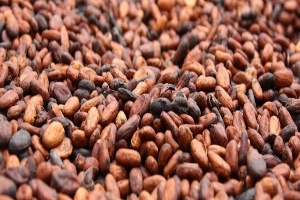Cocoa coffee supply